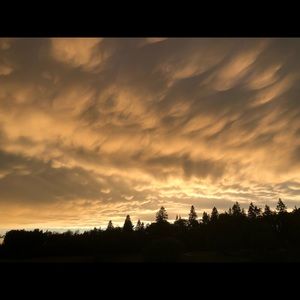 Meet your Posher, Cassidy